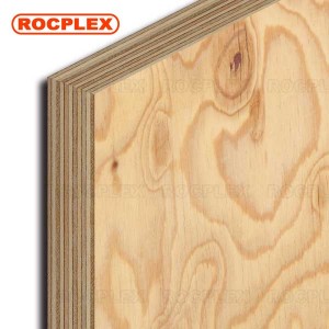 CDX Pine Plywood 2440 x 1220 x 17mm CDX Grade Ply ( Common: 23/32 in. 4 ft. x 8 ft. CDX Project Panel )